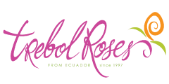 Logo trebol roses