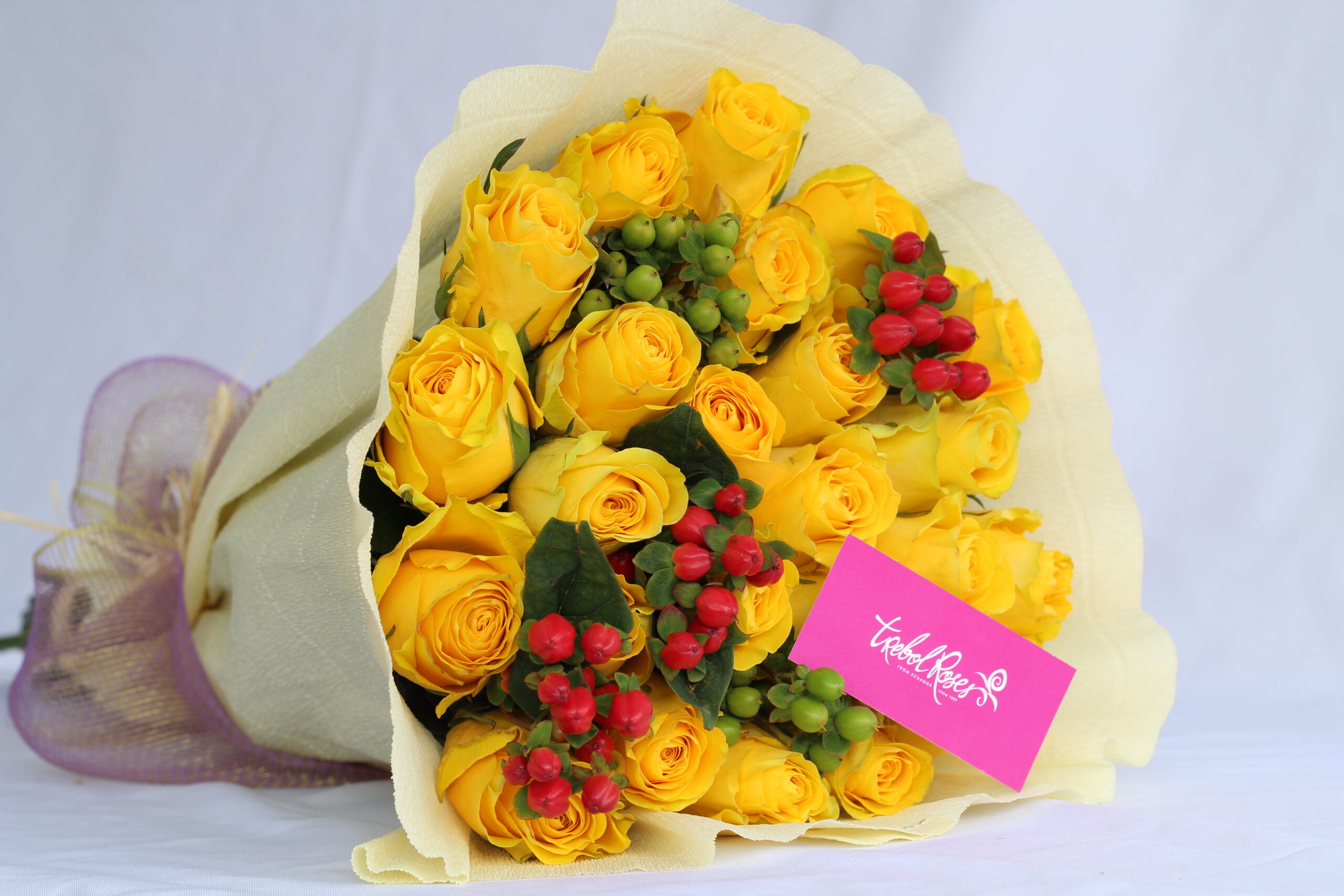 Ramo 24 rosas amarillas - Trebol Roses